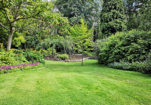 Optimiser l'expérience du jardin à Angoville-sur-Ay