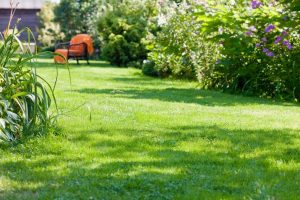 travaux jardin et paysage Angoville-sur-Ay